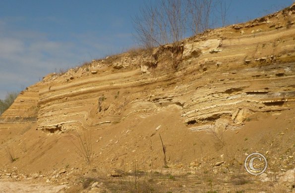 2013 04 12 Montaugu Le Blin 024