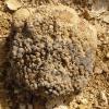 2013 04 12 Montaugu Le Blin 028