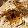 2013 04 12 Montaugu Le Blin 033