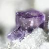 2012-10-18-11.30.12 ZS PMax