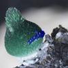 Malachite