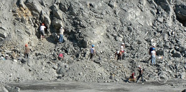 P1550869